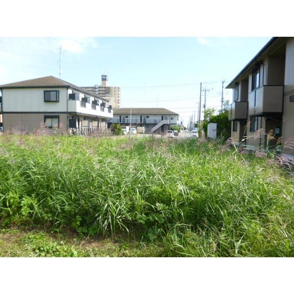 Other local. Local vicinity