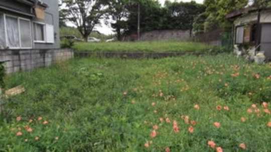 Local land photo. site