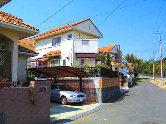 View photos from the local