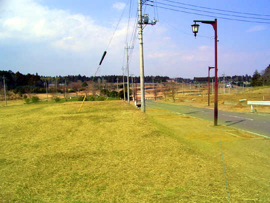 View photos from the local