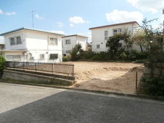 Local land photo. Appearance 1