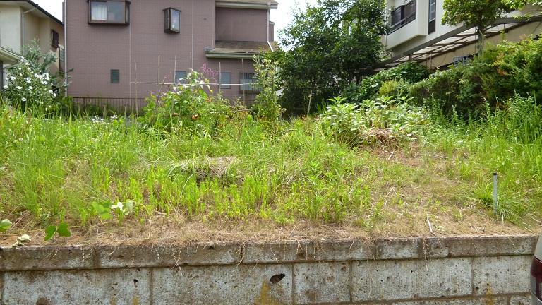 Local land photo. Local (11 May 2013) Shooting