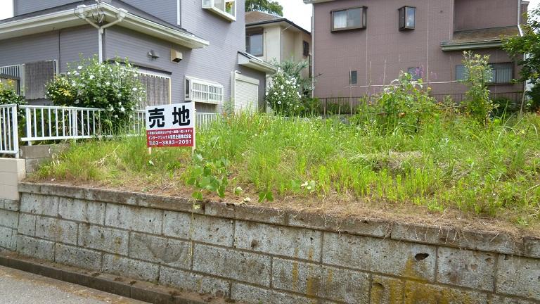 Local photos, including front road. Local (11 May 2013) Shooting