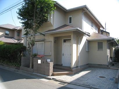 Local land photo. Local (06 May 2013) Shooting