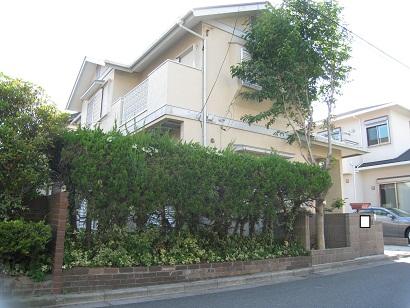 Local land photo. Local (June 2013) Shooting