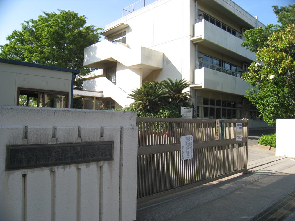 Primary school. Maihama elementary school