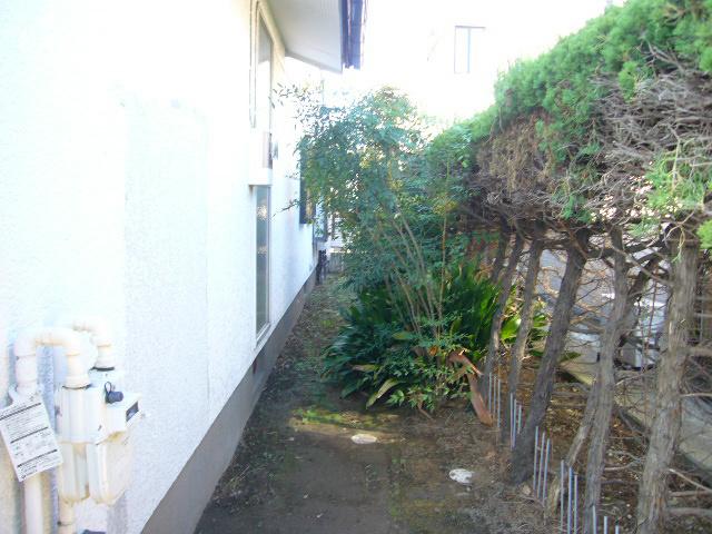 Local photos, including front road. Site (northeast)