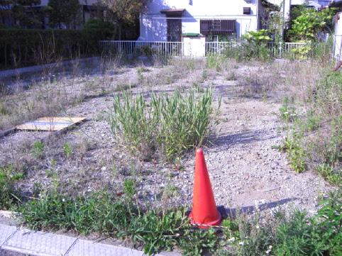 Local land photo. Local (May 2013) Shooting