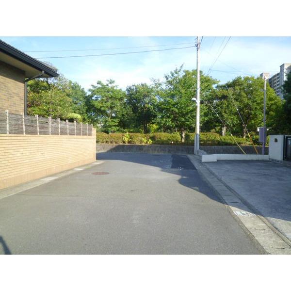 Local photos, including front road