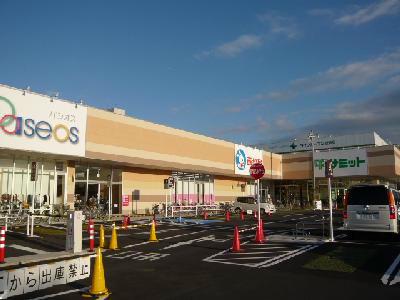 Other. There is a useful life garden shopping near