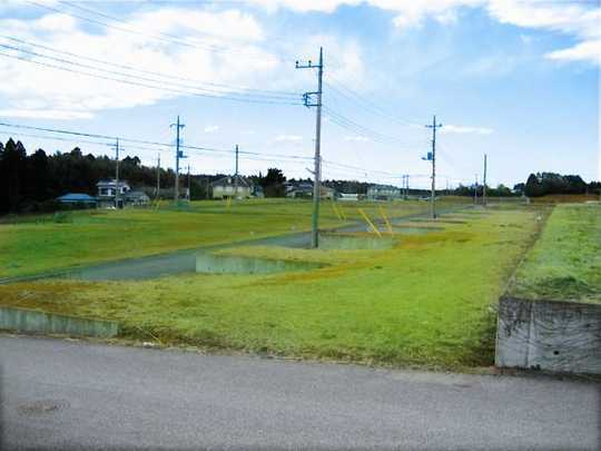 View photos from the local