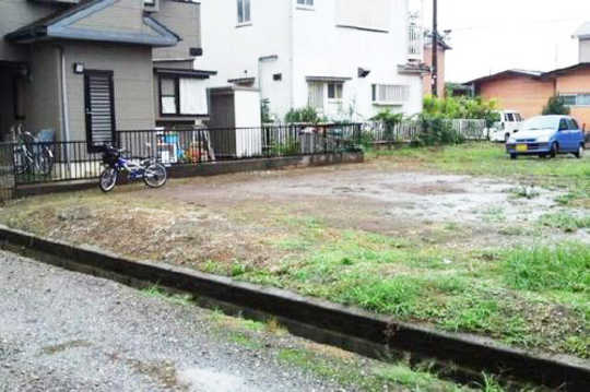 Local land photo. appearance