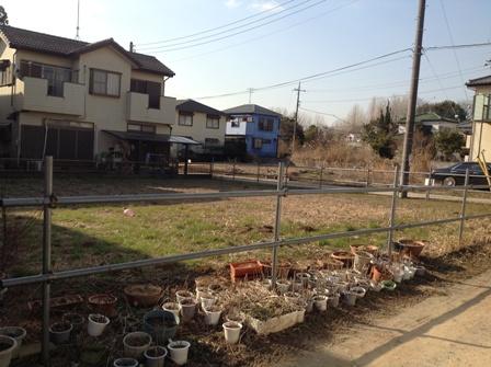 Local land photo. Local (02 May 2013) Shooting