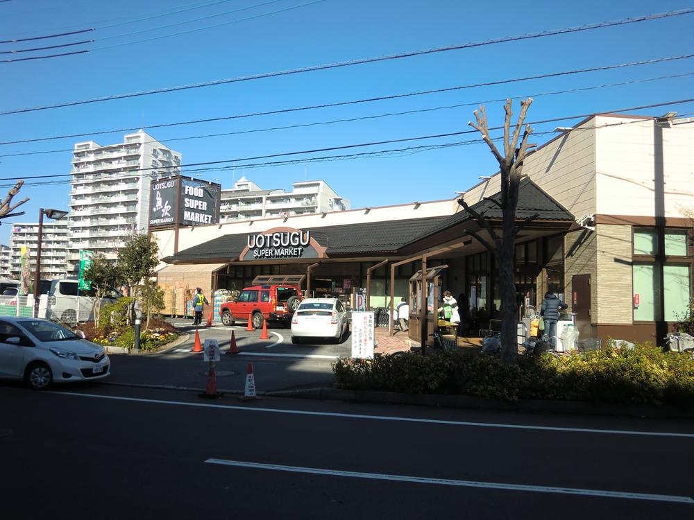 Other. Super "fish Next"