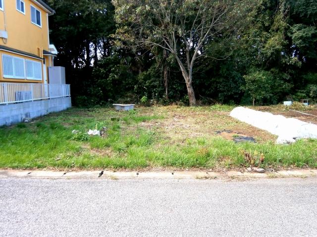 Local land photo. Local (10 May 2013) Shooting