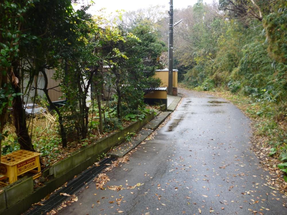 Local photos, including front road