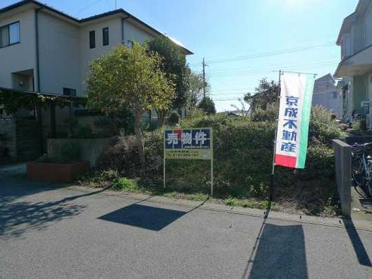 Local land photo. Local Photos