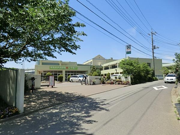 Junior high school. Kayada 800m until junior high school