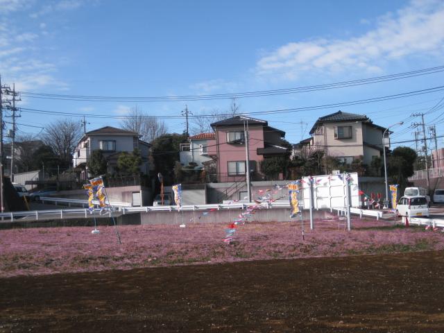 Local land photo. Local (10 May 2012) shooting