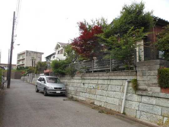 Local land photo. appearance