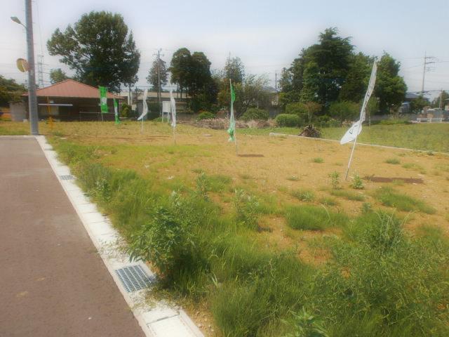 Local land photo. Local (May 2012) shooting