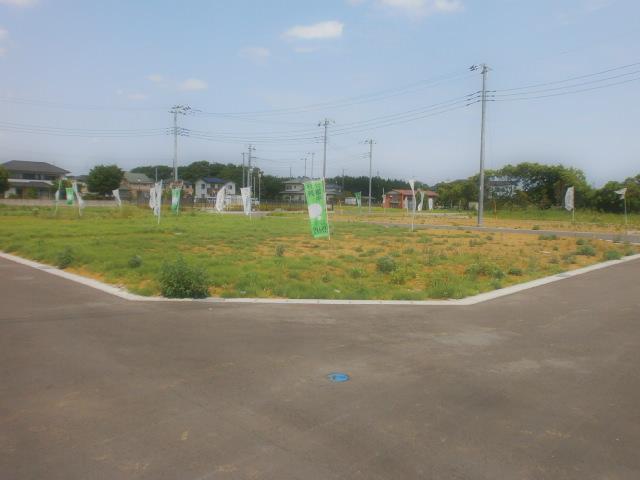 Local land photo. Local (May 2012) shooting