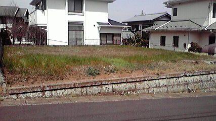 Local land photo. Local (April 2012) shooting