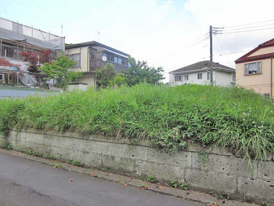 Local land photo. local