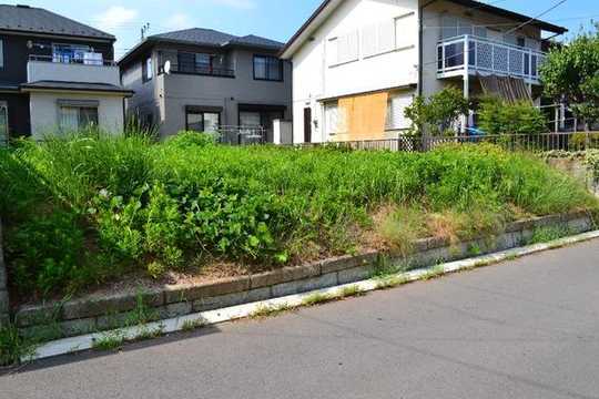 Local land photo. Local Photos 2013 August shooting