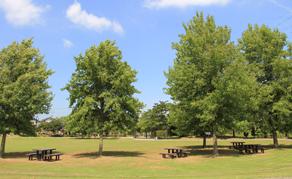 park. Bracken 1050m to neighborhood park