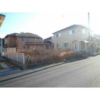 Local land photo. Local Photo 1