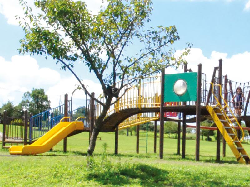 park. It is To to life park 80m