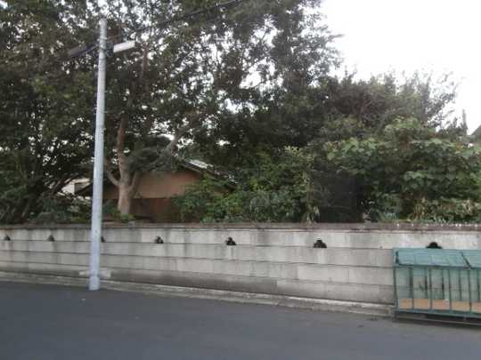 Local land photo. From west