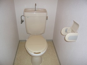 Toilet. Toilet