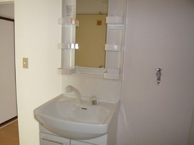 Washroom. Washbasin with shower