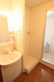 Washroom. Basin space shampoo dresser Laundry Area indoor
