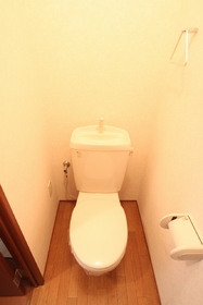 Toilet. Toilet