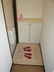 Entrance. There entrance shoebox