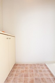 Entrance. There is also entrance shoebox