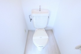 Toilet. Toilet
