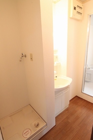 Washroom. Undressing space shampoo dresser Laundry Area indoor