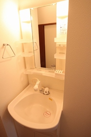 Washroom. Shampoo dresser