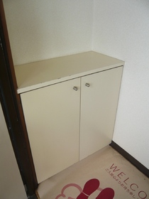 Entrance. There entrance shoebox