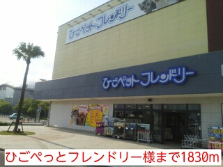 Other. Higopetto friendly like to (other) 1830m