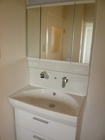 Washroom. Shampoo dresser