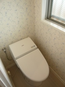 Toilet. Washlet toilet