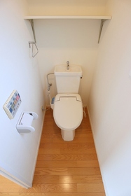 Toilet. Cleaning function toilet