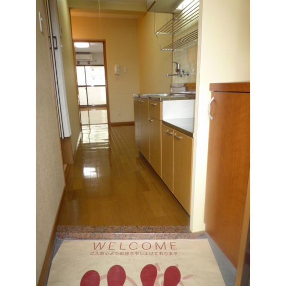 Living and room. Entrance