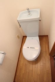 Toilet. Toilet