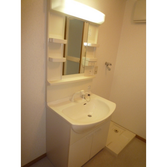 Washroom. Separate vanity